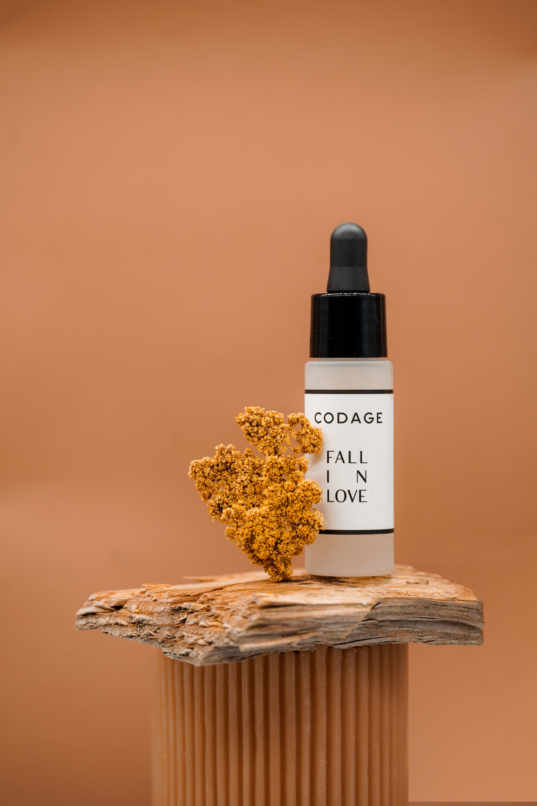 Codage FALL IN LOVE